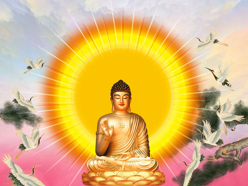 Trái tim của Bụt - Đức Phật - Con Đường Giác Ngộ