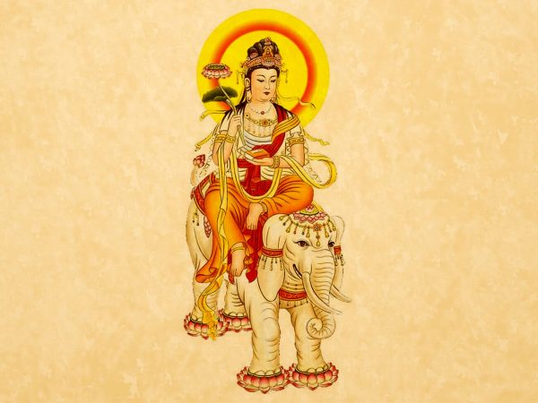 Kinh Hạnh Nguyện Phổ Hiền - Kinh Phật - Con Đường Giác Ngộ
